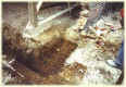 elmsabbr02.jpg (53721 Byte)