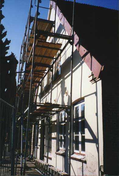 elms24